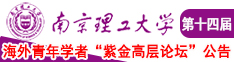 小少萝自慰南京理工大学第十四届海外青年学者紫金论坛诚邀海内外英才！